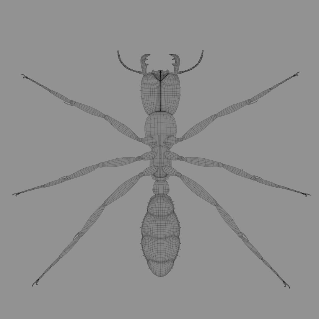 3D army ant worker model https://p.turbosquid.com/ts-thumb/VI/eUPsAm/PrSXmU5H/0011/png/1506293320/1920x1080/fit_q87/e504d0289156d8d57d3200839d08e3f36e8f024c/0011.jpg