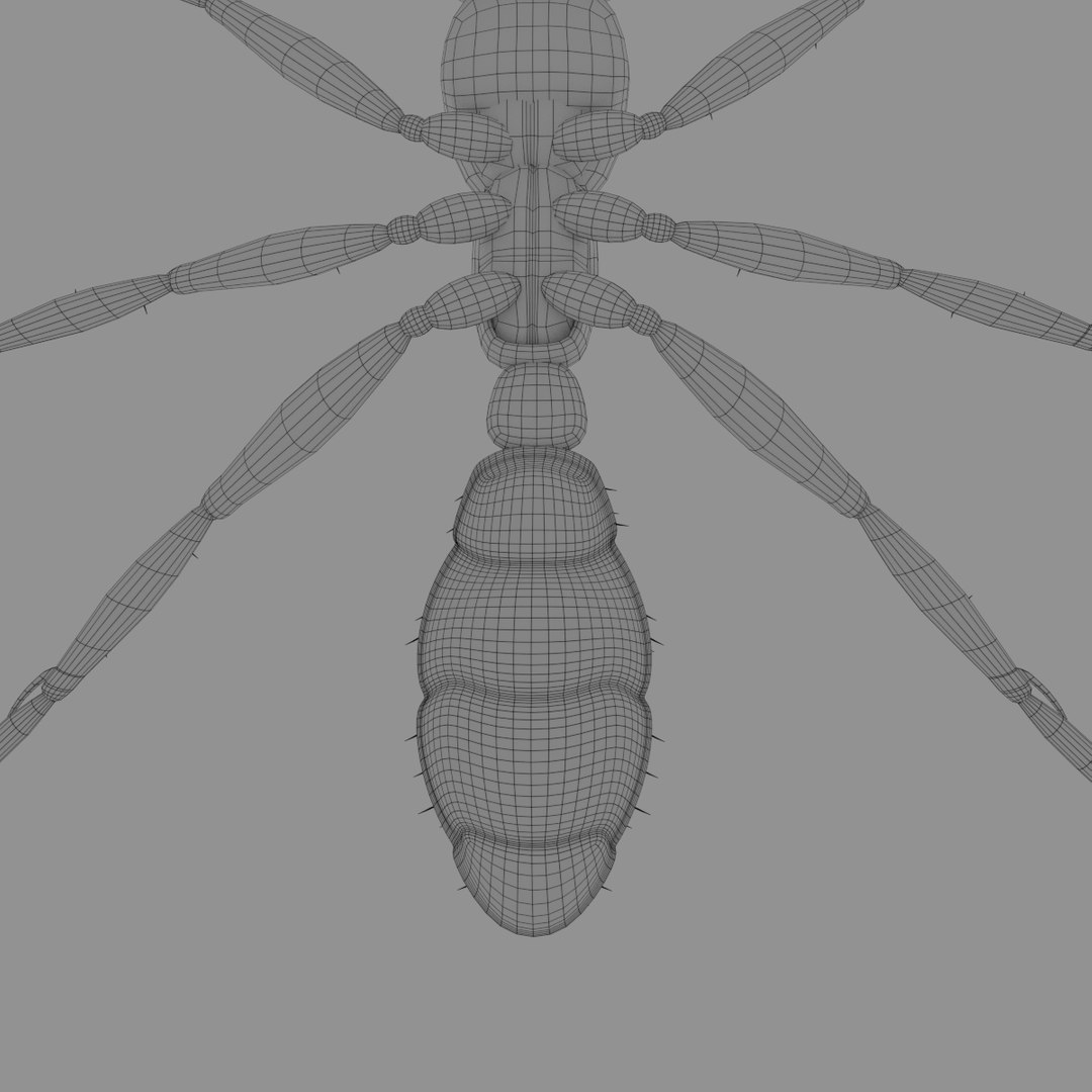 3D army ant worker model https://p.turbosquid.com/ts-thumb/VI/eUPsAm/R94pju6Z/0013/png/1506293320/1920x1080/fit_q87/ad23b0fe12762f4214f94ab4790289e3a97a1fec/0013.jpg