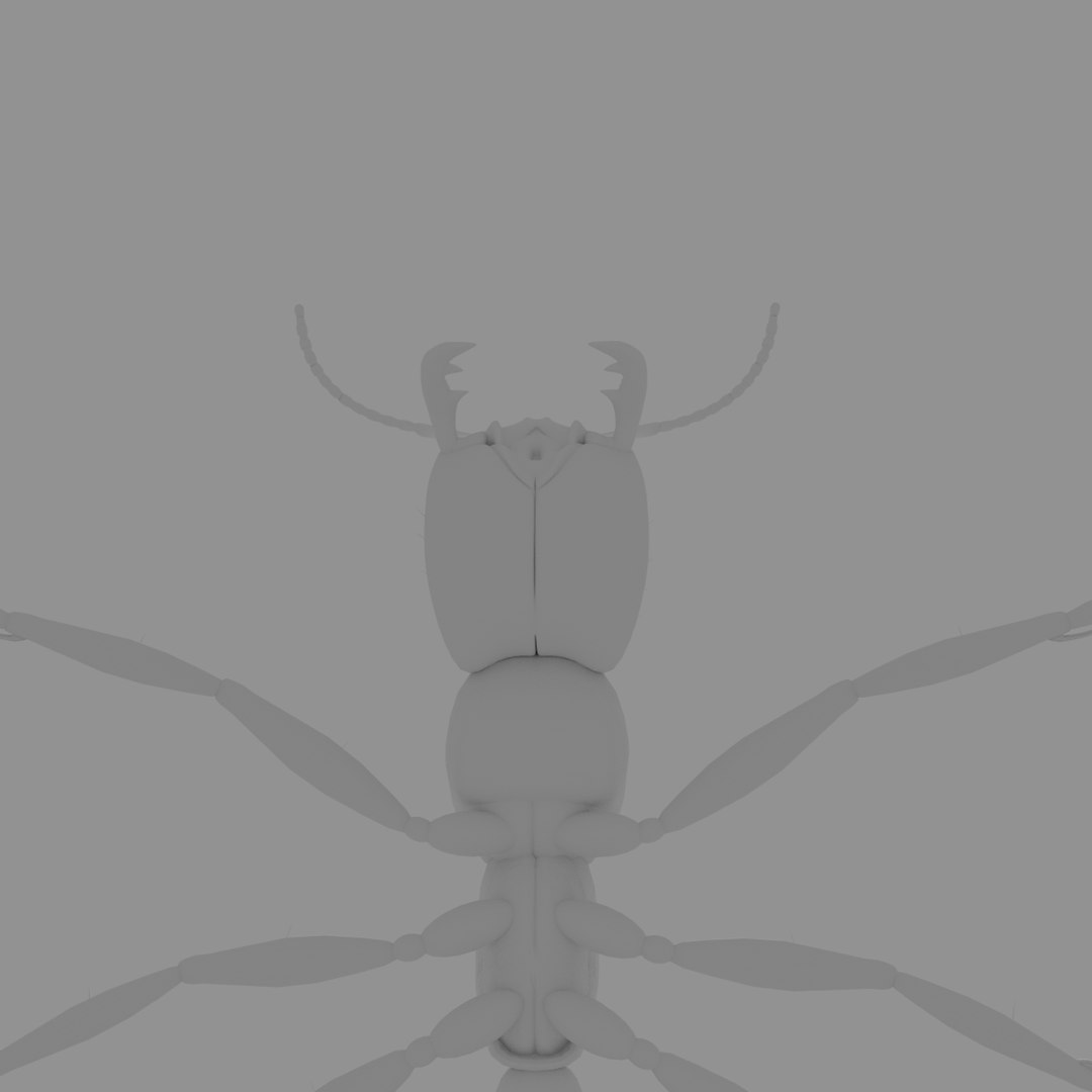 3D army ant worker model https://p.turbosquid.com/ts-thumb/VI/eUPsAm/V9usdAP9/0012/png/1506293276/1920x1080/fit_q87/0faf6f9c1773e9ed0e4f9076260ff5390cb01ab8/0012.jpg