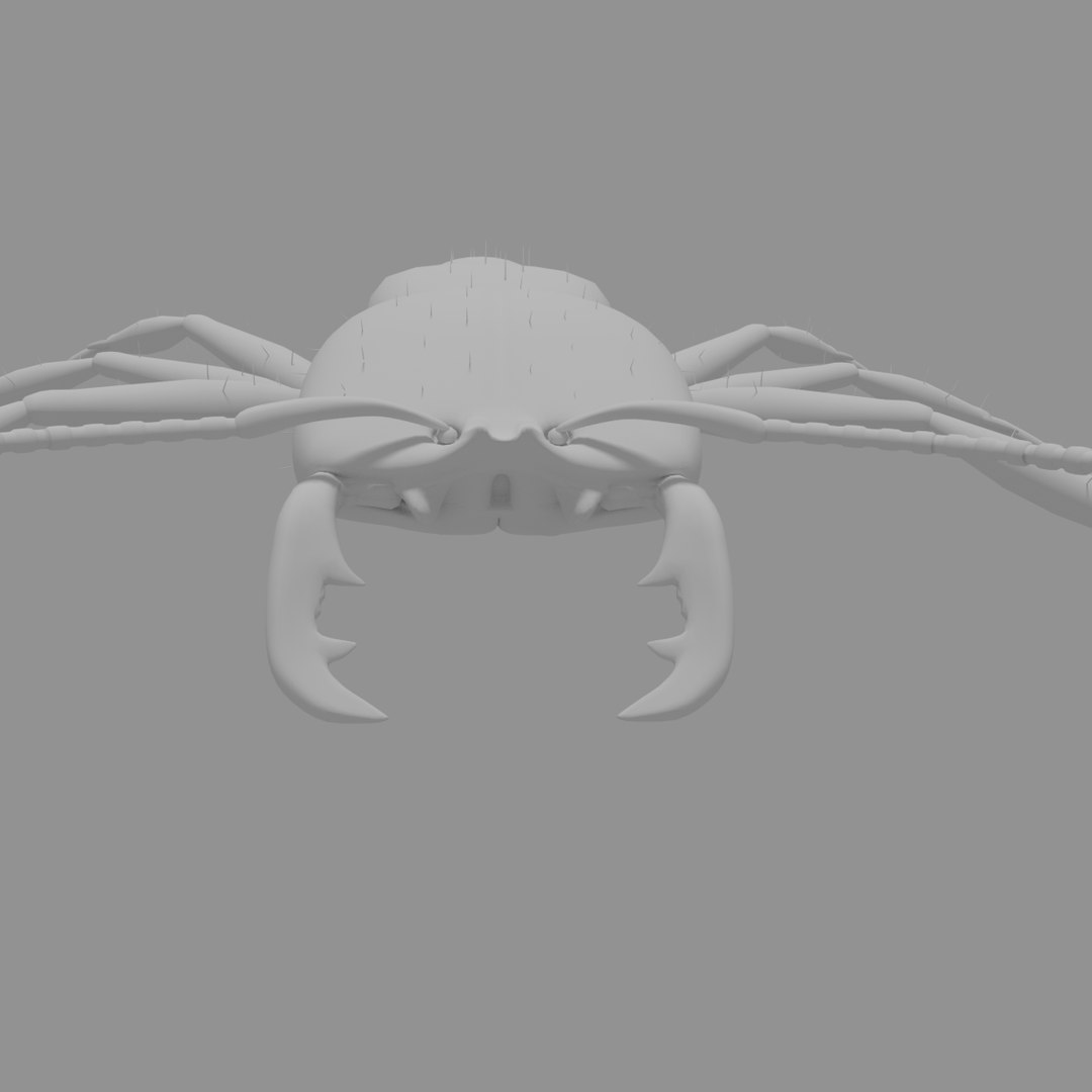 3D army ant worker model https://p.turbosquid.com/ts-thumb/VI/eUPsAm/Y2Hfzgz7/0018/png/1506293276/1920x1080/fit_q87/c6b11e4a8039e6a88ead07eff0dbe729ac02c585/0018.jpg