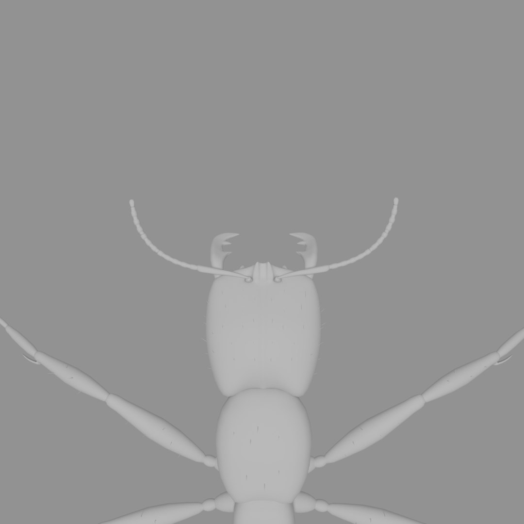 3D army ant worker model https://p.turbosquid.com/ts-thumb/VI/eUPsAm/lGBAFYJB/0007/png/1506293276/1920x1080/fit_q87/5412fae696842b072148a2c106ee53bb4cfe9e4d/0007.jpg