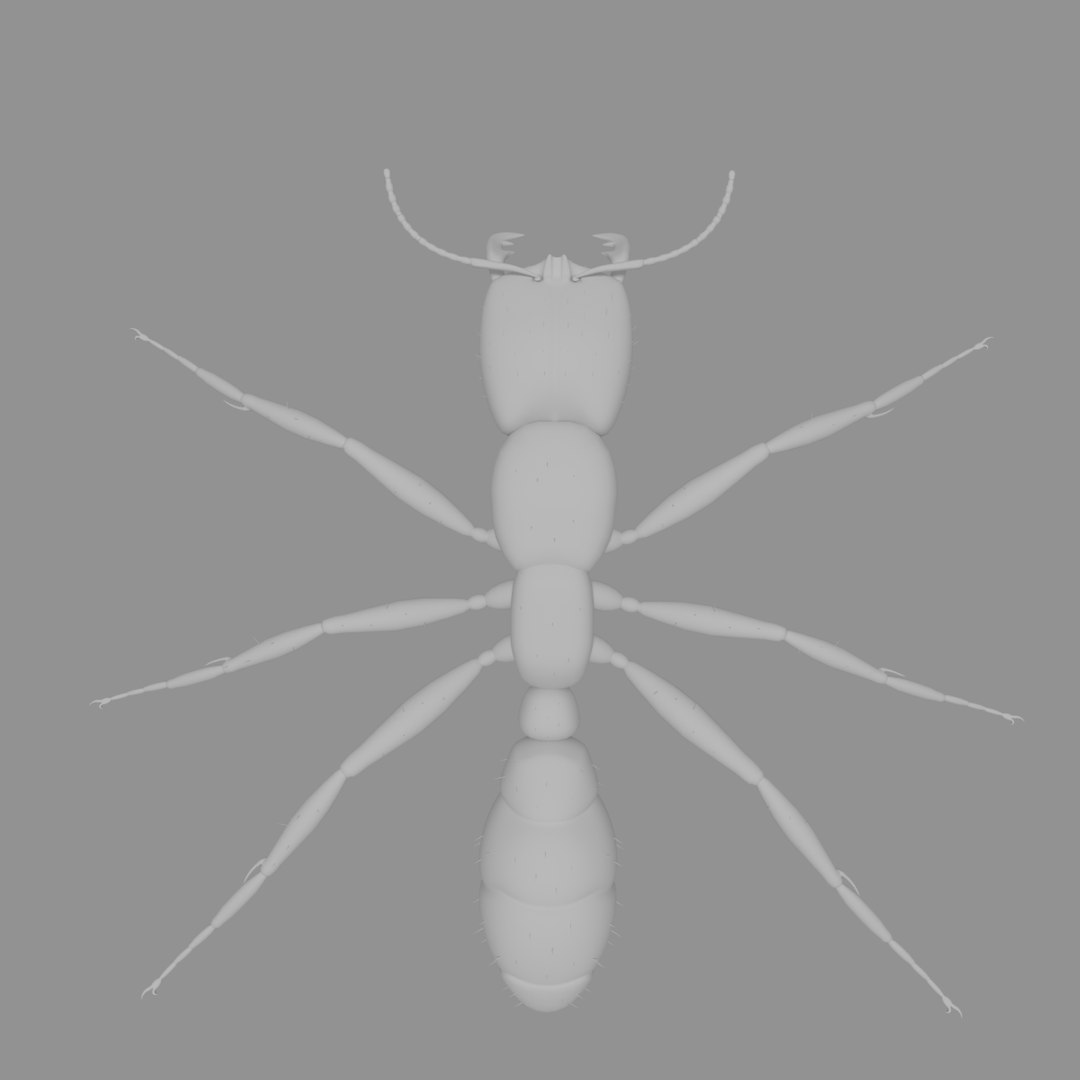 3D army ant worker model https://p.turbosquid.com/ts-thumb/VI/eUPsAm/vqaInrmv/0005/png/1506293276/1920x1080/fit_q87/fd583f533b2ac3bd53ac8dea4661726732d78857/0005.jpg