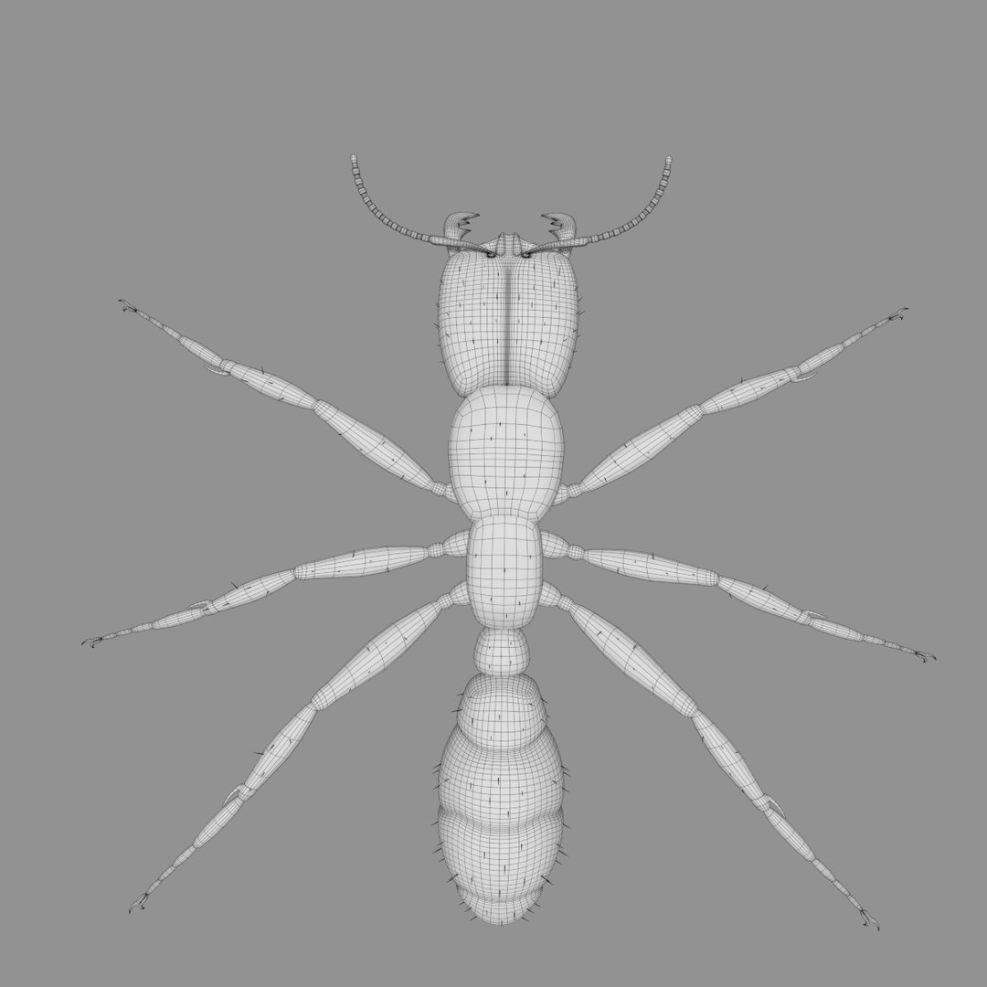 3D army ant worker model https://p.turbosquid.com/ts-thumb/VI/eUPsAm/xtrg4P84/0000/png/1506293320/1920x1080/fit_q87/f111dc1bb19707b248e15c643b099d000fd0821e/0000.jpg