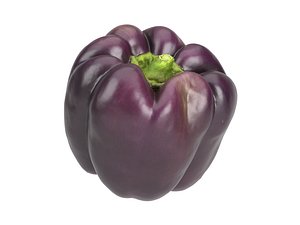 Highly Detailed Tequila Bell Pepper Scan