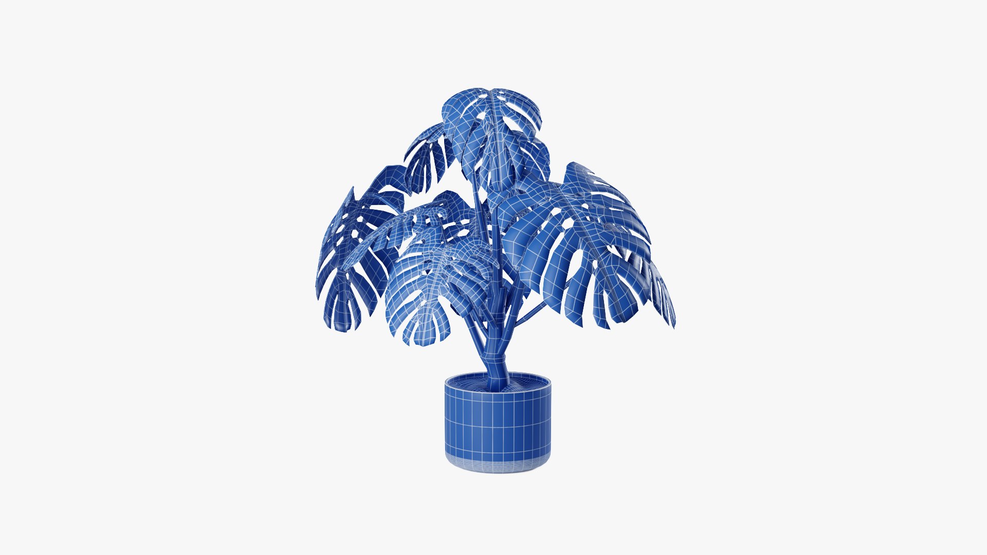 3D model Monstera plant https://p.turbosquid.com/ts-thumb/VI/wbecsJ/Y1/plant_wireframe_00003/png/1632308966/1920x1080/fit_q87/c9d0df7efc9f03b08f020437edf384ddb587cdb1/plant_wireframe_00003.jpg