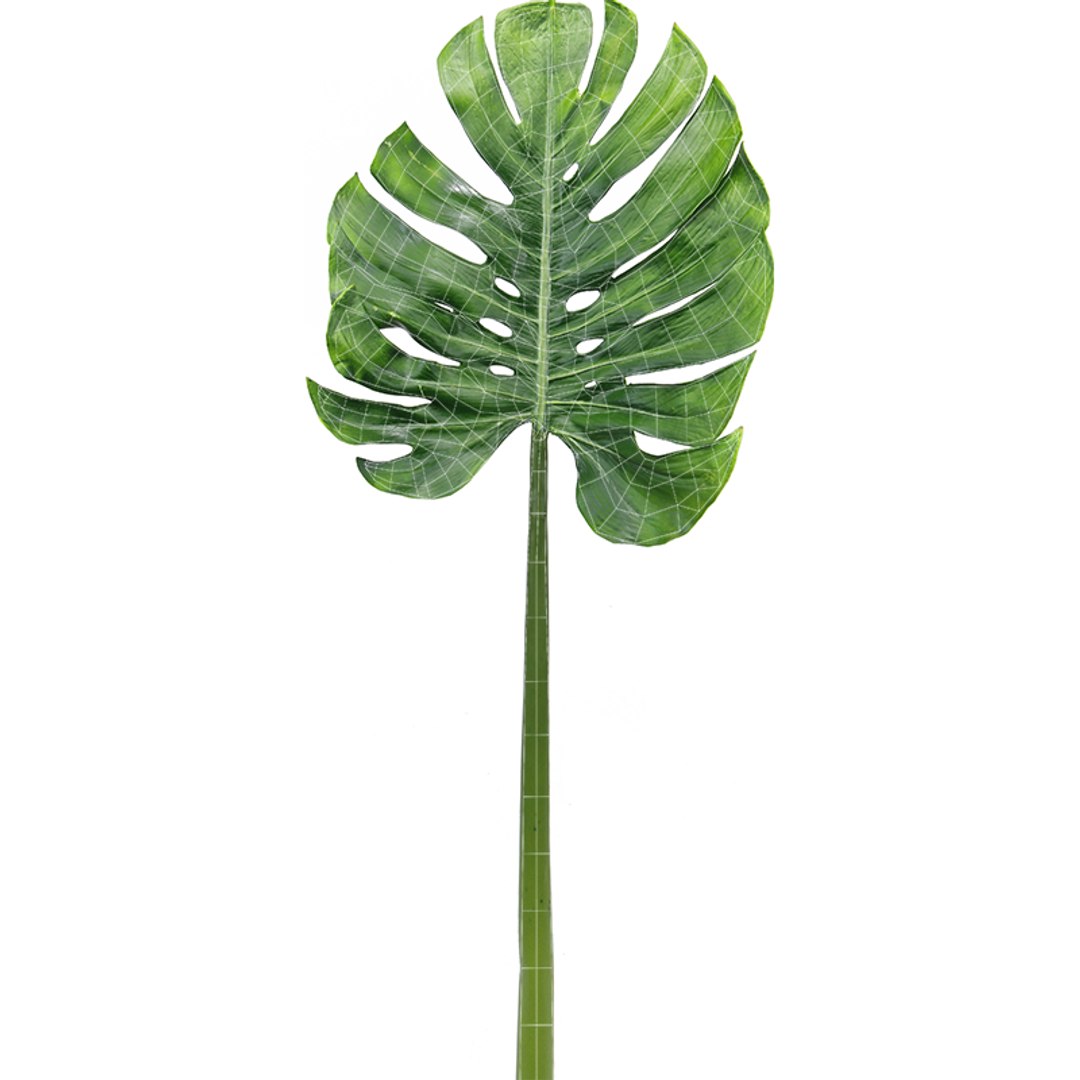 3D model Monstera plant https://p.turbosquid.com/ts-thumb/VI/wbecsJ/h7/uvs/png/1632309766/1920x1080/fit_q87/0fd311b711e83f0d102cfe4633d96bc0687b01d9/uvs.jpg
