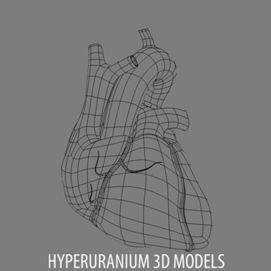 C4d Heart