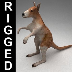 3d model rigged kangaroo