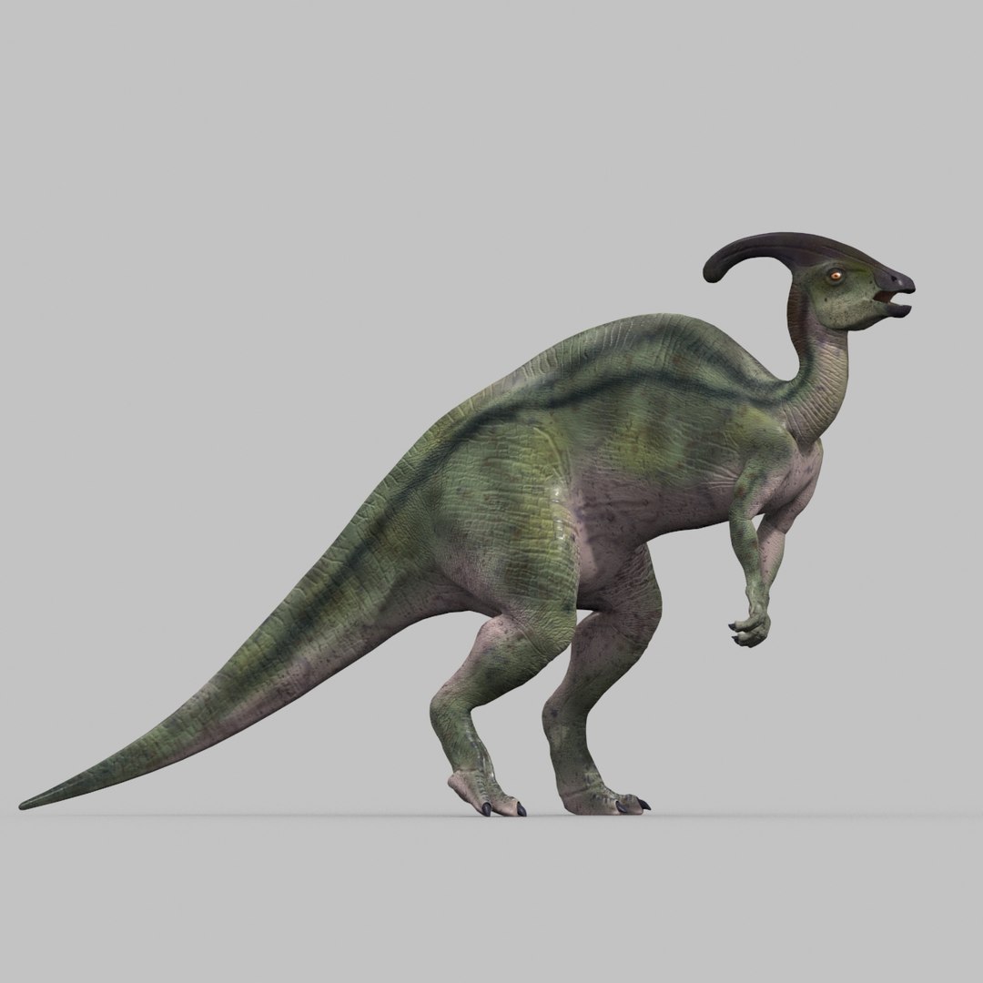 3D jurassic park parasaurolophus animation model https://p.turbosquid.com/ts-thumb/VJ/GvkwVp/0WmwdXW6/15/jpg/1539878475/1920x1080/fit_q87/10b9bd4977fd2fd910bfda141e3fdfed19ba6c4e/15.jpg