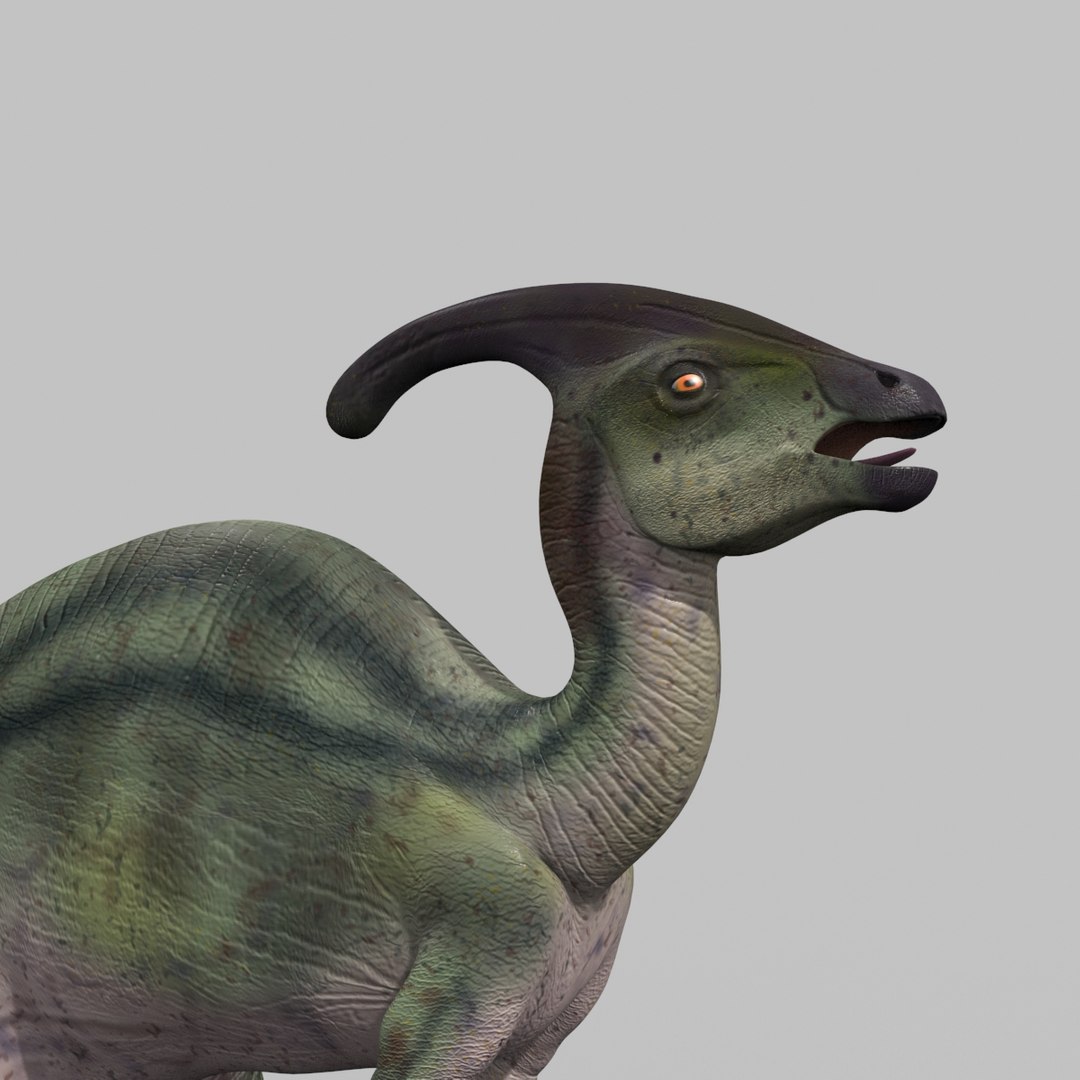 3D jurassic park parasaurolophus animation model https://p.turbosquid.com/ts-thumb/VJ/GvkwVp/8b7lBzdn/8/jpg/1539878475/1920x1080/fit_q87/9216207f7a00c8a7048f123ab6a1d6aa93579954/8.jpg