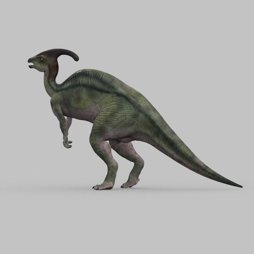 3D jurassic park parasaurolophus animation model https://p.turbosquid.com/ts-thumb/VJ/GvkwVp/EDfwAzVk/23/jpg/1539878479/1920x1080/fit_q87/d10c5b60c030cabeddea34c2adafbb66d63989b6/23.jpg