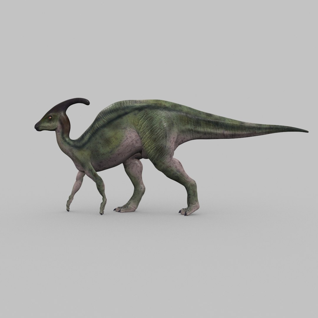 3D jurassic park parasaurolophus animation model https://p.turbosquid.com/ts-thumb/VJ/GvkwVp/F8QE8D7k/10/jpg/1539878475/1920x1080/fit_q87/2166148b9dd12e361c1d9e3e7cec85388a2ed8af/10.jpg