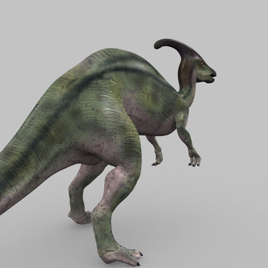 3D jurassic park parasaurolophus animation model https://p.turbosquid.com/ts-thumb/VJ/GvkwVp/VBxUuMqS/11/jpg/1539878475/1920x1080/fit_q87/44b8d7eb55f903a6b0ee631afdb3c52f2dc74257/11.jpg