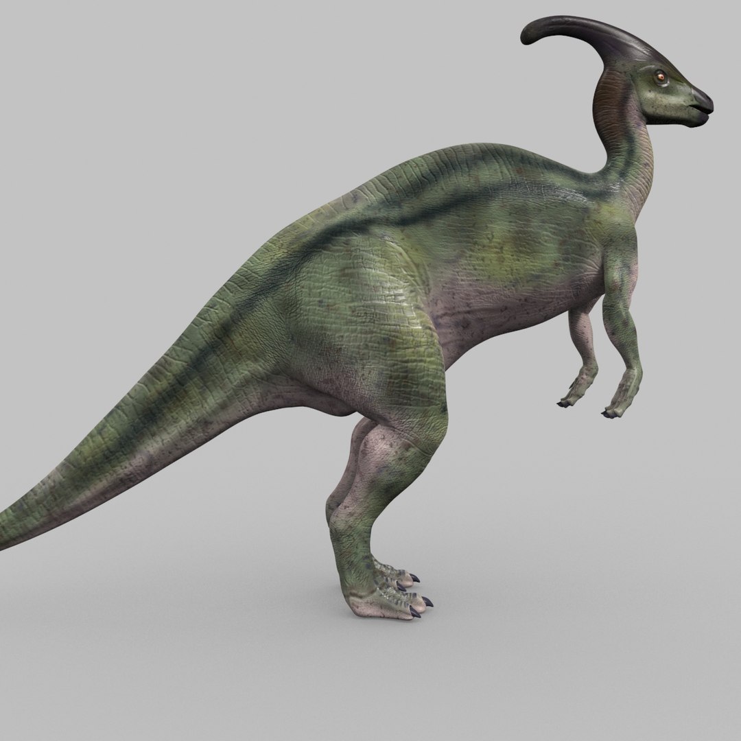 3D jurassic park parasaurolophus animation model https://p.turbosquid.com/ts-thumb/VJ/GvkwVp/dB1l73UA/6/jpg/1539878475/1920x1080/fit_q87/77779aaf0fc47a4c0cdd246e4a0573b73f23ca9d/6.jpg
