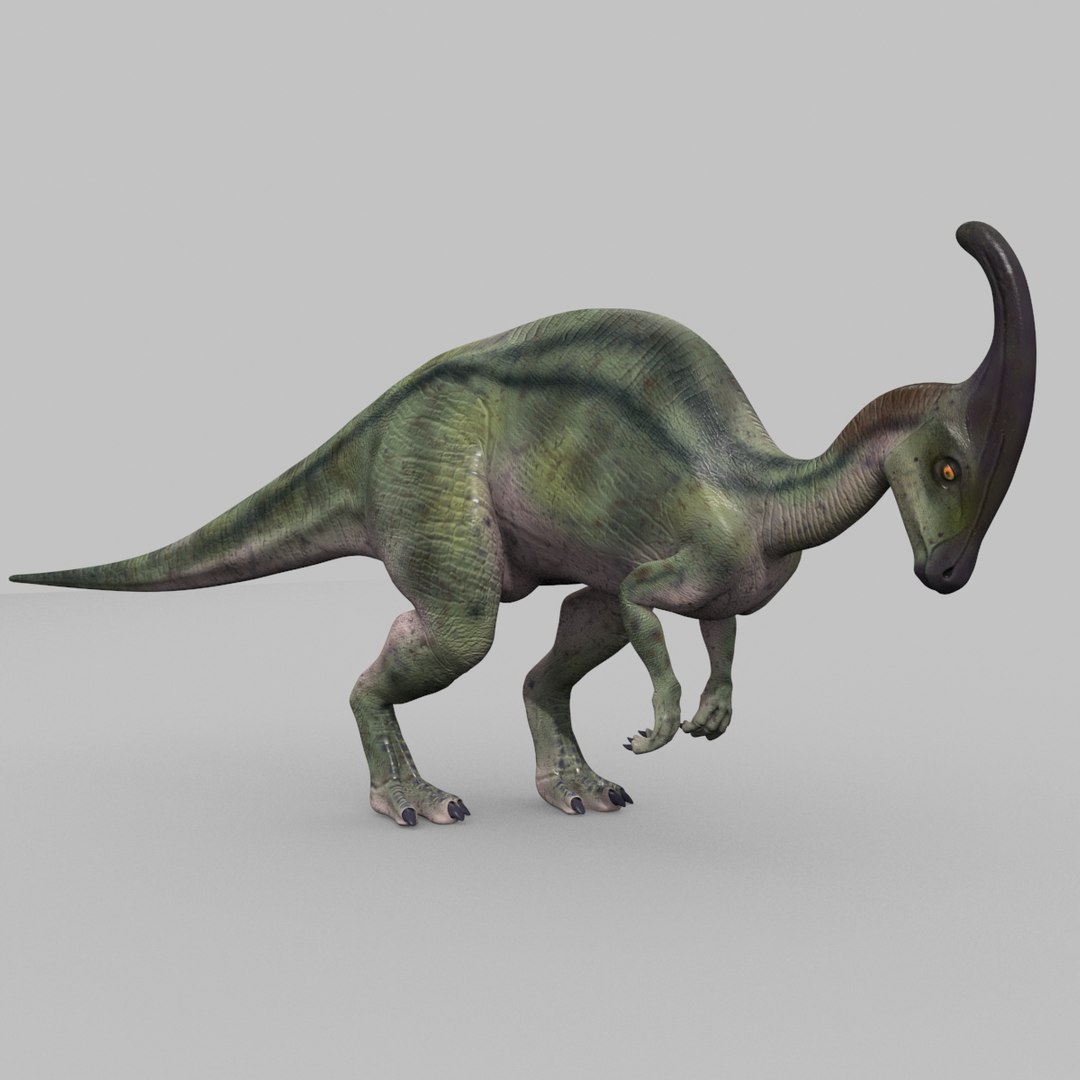 3D jurassic park parasaurolophus animation model https://p.turbosquid.com/ts-thumb/VJ/GvkwVp/iVdrgKFZ/2/jpg/1539878475/1920x1080/fit_q87/f4101895a5b1128d3339895afc95f6ad21c43826/2.jpg