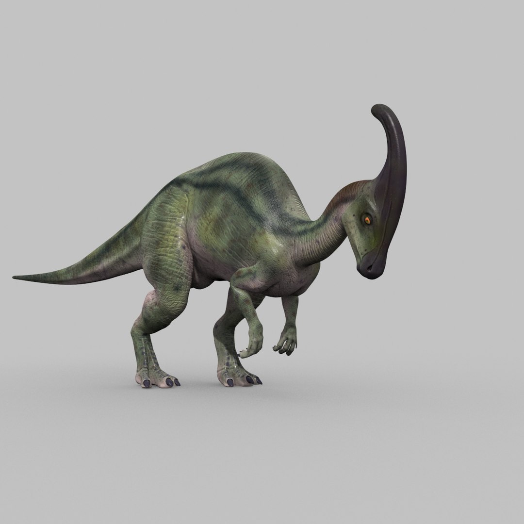 3D jurassic park parasaurolophus animation model https://p.turbosquid.com/ts-thumb/VJ/GvkwVp/lv05qbpa/13/jpg/1539878475/1920x1080/fit_q87/f790c89afd7f80d029a52b674401cce47845b7b6/13.jpg