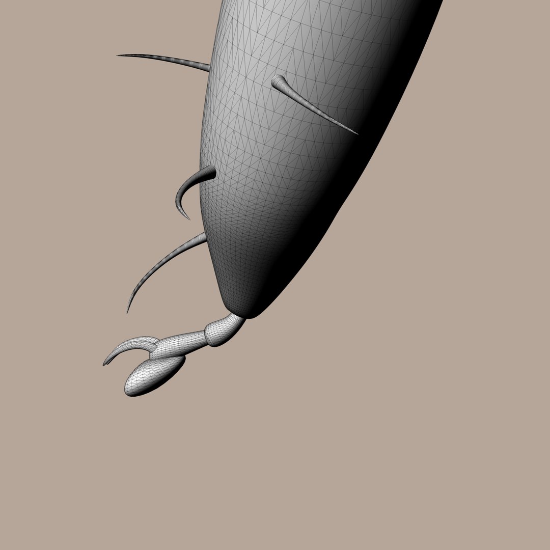 3D tick rigged https://p.turbosquid.com/ts-thumb/VJ/IMcKRl/M4GZx4XX/render_high_03/jpg/1564666675/1920x1080/fit_q87/40bf271043742d2b4efc545766d52c99d13bfdcf/render_high_03.jpg