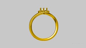 partial twisted ring 3D model