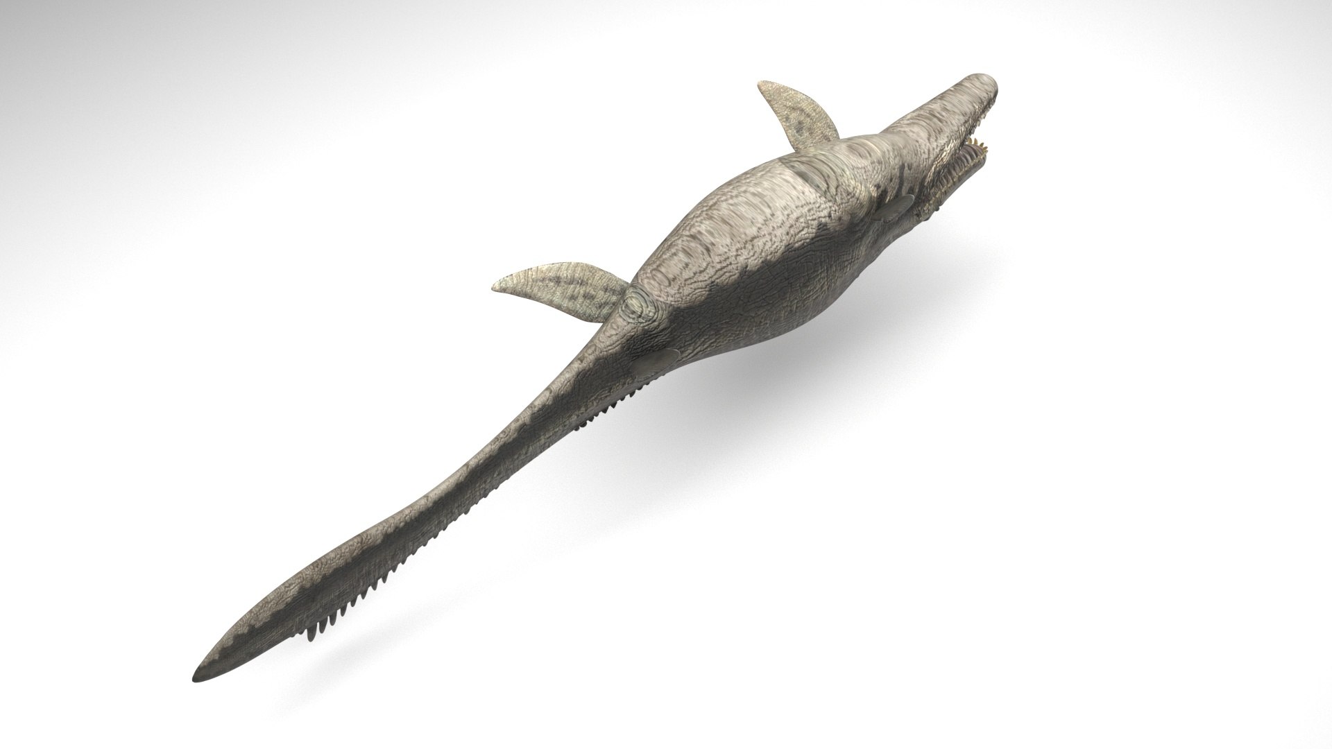 Mosasaurus 3D Model - TurboSquid 1925085