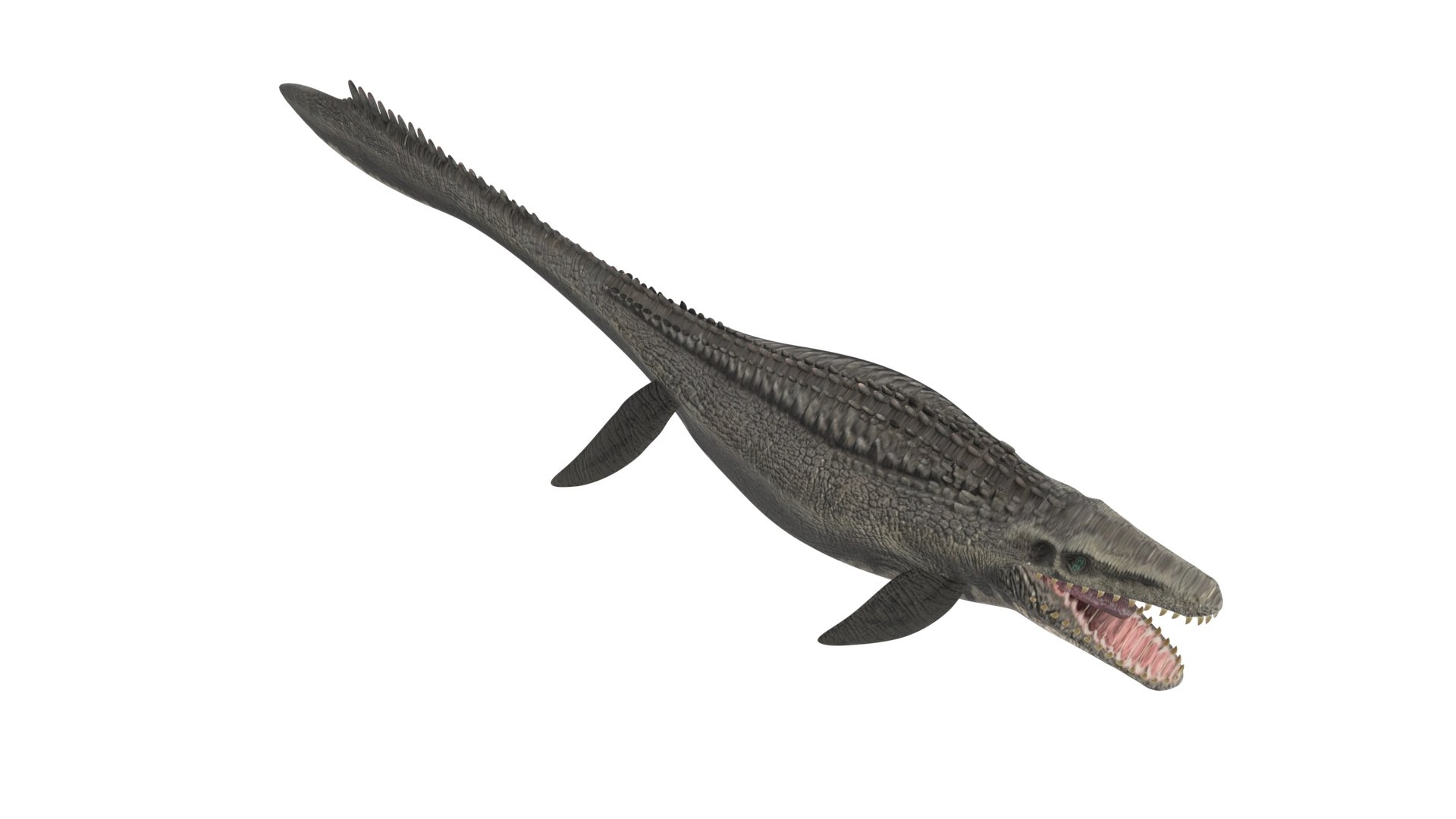 Mosasaurus 3D Model - TurboSquid 1925085