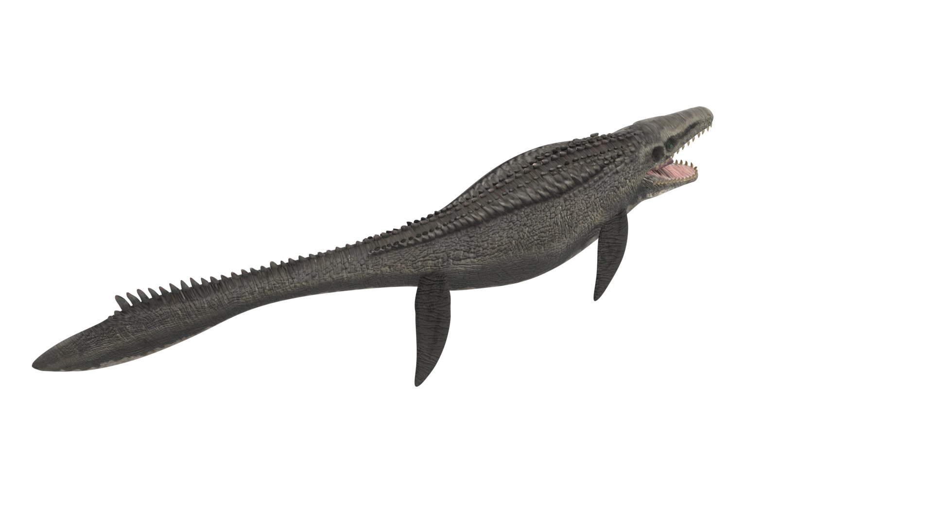 Mosasaurus 3D Model - TurboSquid 1925085