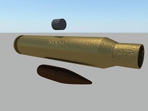 Rusty 5.56mm/.223 Ammo