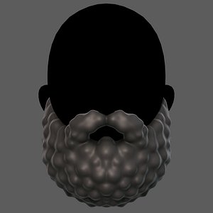 Beard V42 3D model