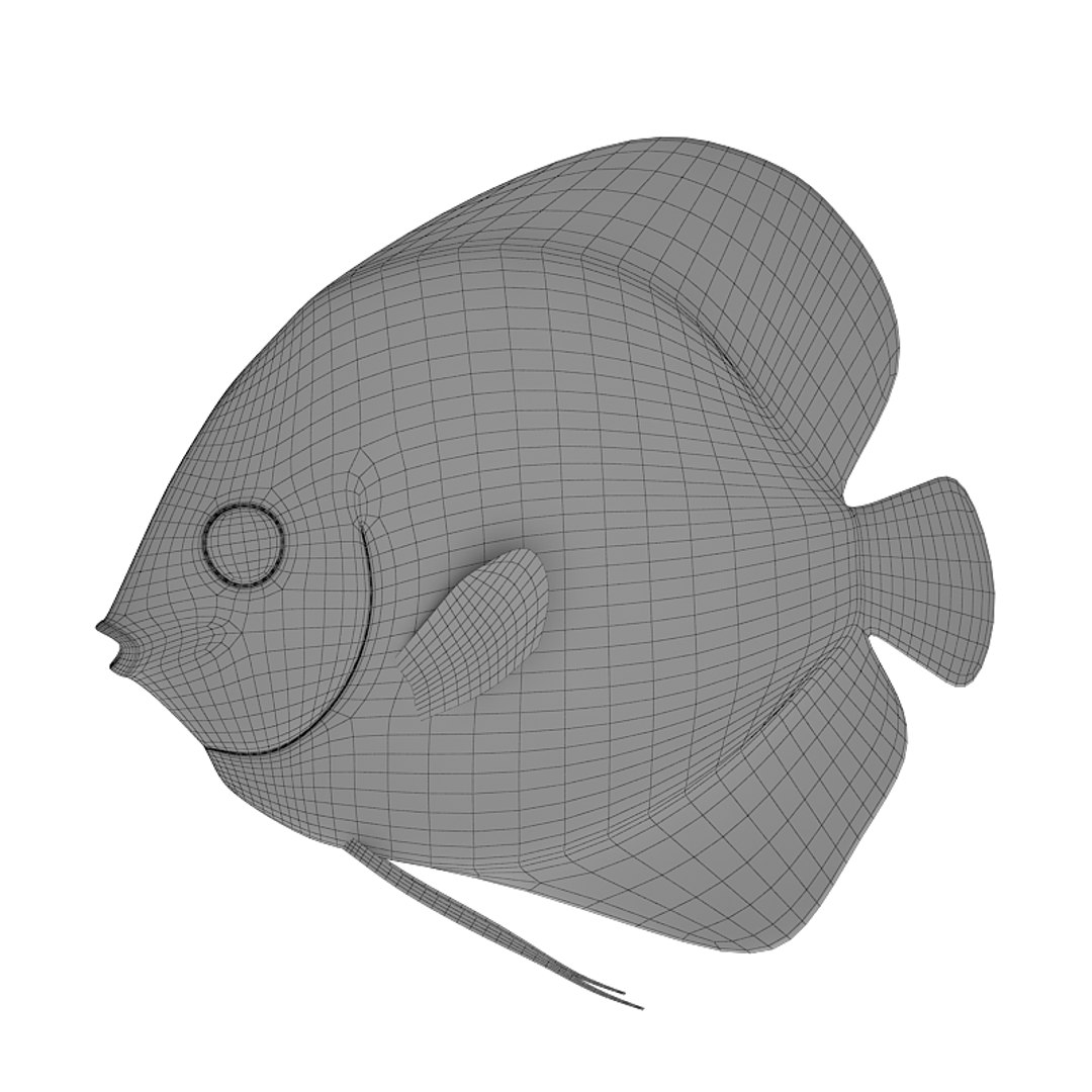 Discus Fish 3d Obj