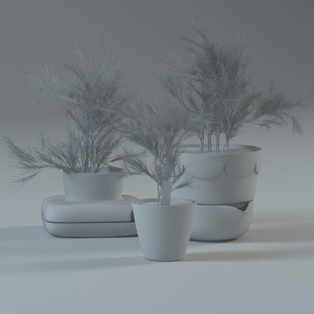 spice plants basil dill 3d model https://p.turbosquid.com/ts-thumb/VJ/kUo39o/0ZkStG6z/wire/jpg/1414950383/1920x1080/fit_q87/cf0d2e90766b21870e9e7306159d061ededef7db/wire.jpg