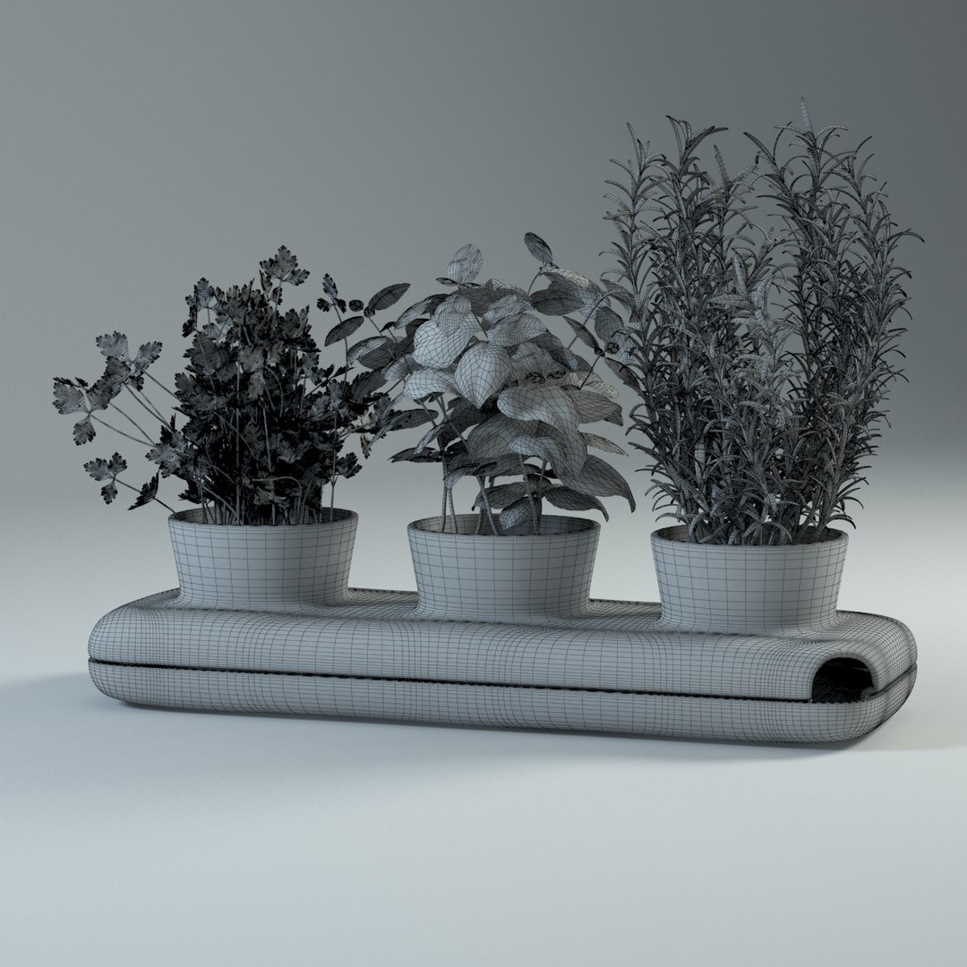 spice plants basil dill 3d model https://p.turbosquid.com/ts-thumb/VJ/kUo39o/igs1bkoW/3in1_vraywire/jpg/1414950500/1920x1080/fit_q87/8b5acb1064519a043456bec401af7e0aa0c575be/3in1_vraywire.jpg