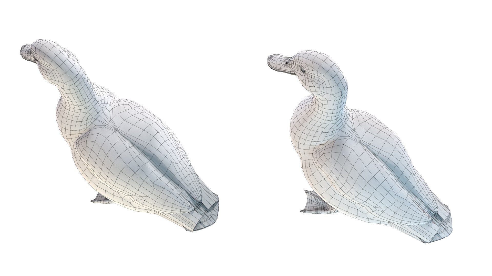 Waterfowl Collection 3D model https://p.turbosquid.com/ts-thumb/VJ/rhqt6W/Bo/ed11/jpg/1640962824/1920x1080/fit_q87/7326e22123b50b6239d4b5f20edefc0b6518c9fd/ed11.jpg