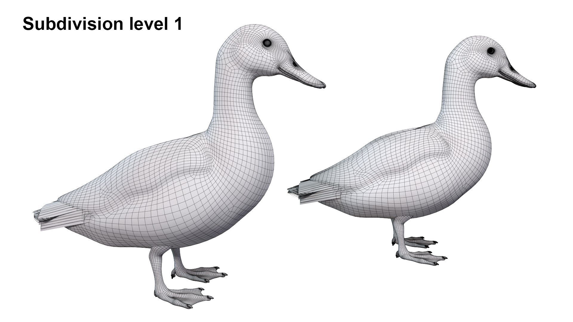 Waterfowl Collection 3D model https://p.turbosquid.com/ts-thumb/VJ/rhqt6W/EO/sub11/jpg/1640962827/1920x1080/fit_q87/dbf4a945dd995236046d7402bfda37c1087e9e12/sub11.jpg