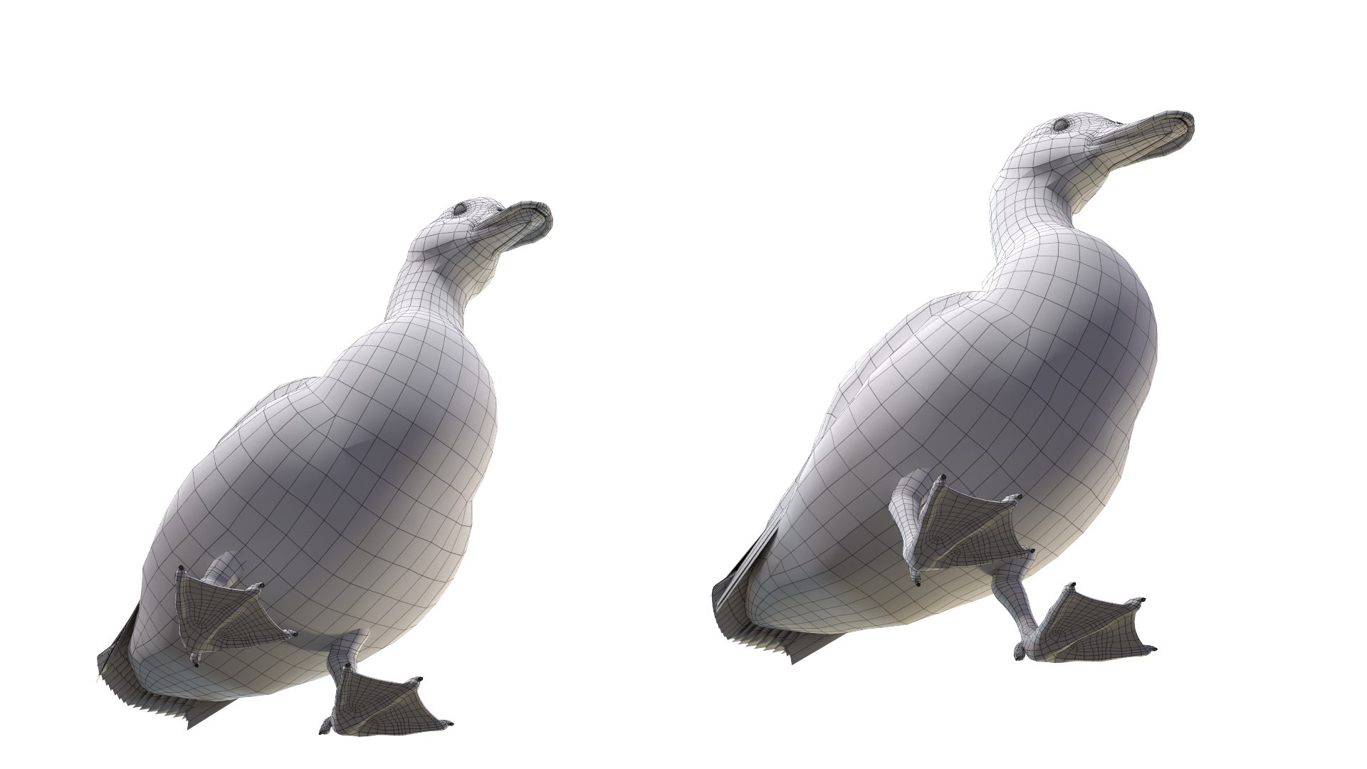 Waterfowl Collection 3D model https://p.turbosquid.com/ts-thumb/VJ/rhqt6W/Ei/ed21/jpg/1640962799/1920x1080/fit_q87/21665d3d70163ec9ab5fdaa4817e249986fabc2d/ed21.jpg