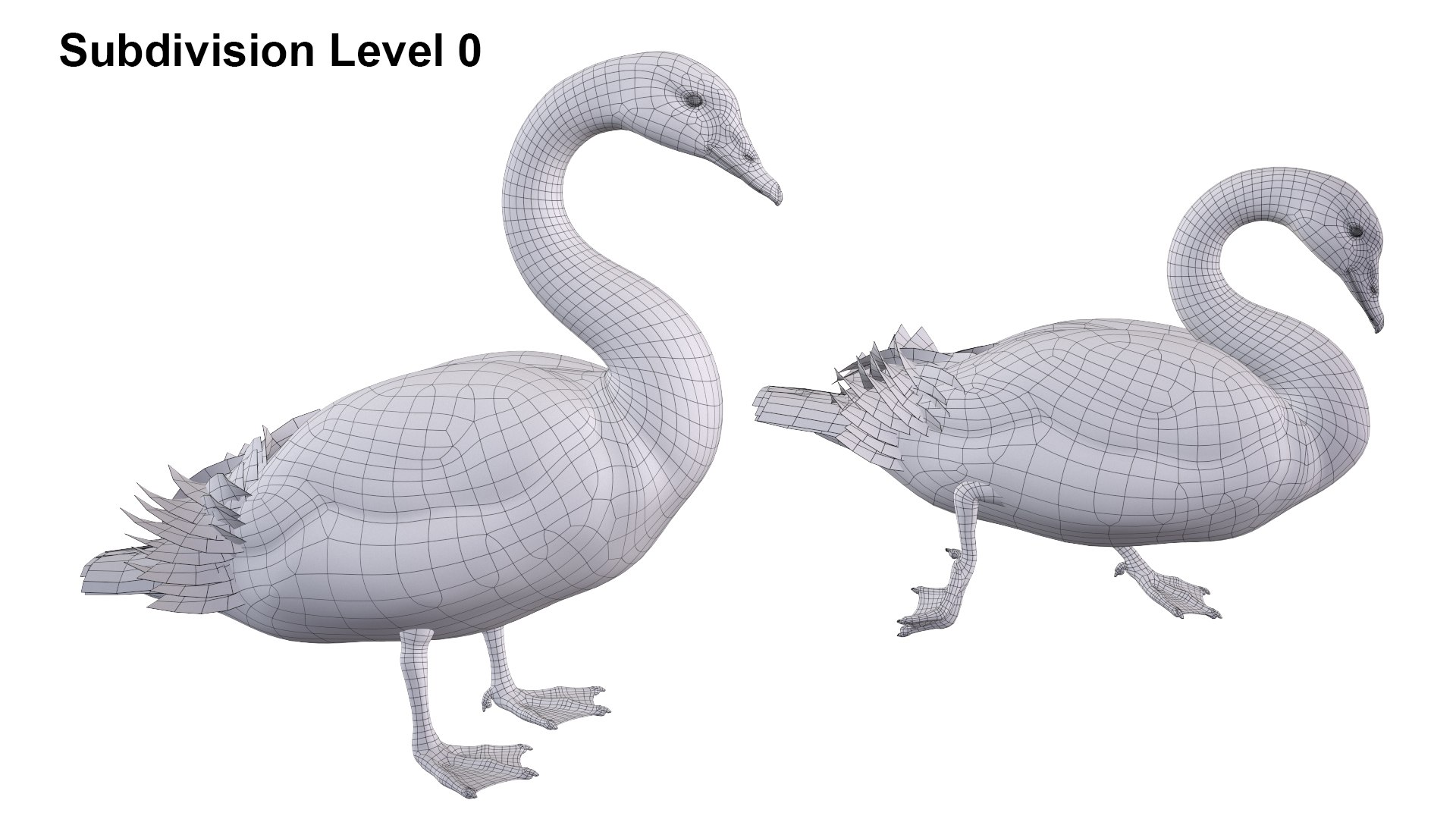 Waterfowl Collection 3D model https://p.turbosquid.com/ts-thumb/VJ/rhqt6W/M1/sub02/jpg/1640964078/1920x1080/fit_q87/b3452de74d15522255514904043eca808db0728b/sub02.jpg