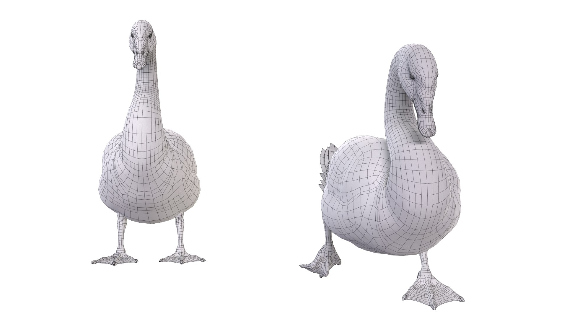 Waterfowl Collection 3D model https://p.turbosquid.com/ts-thumb/VJ/rhqt6W/Q5/ed022/jpg/1640964078/1920x1080/fit_q87/30b3751bbbd79a93b3b564b62fcea6120297fca5/ed022.jpg