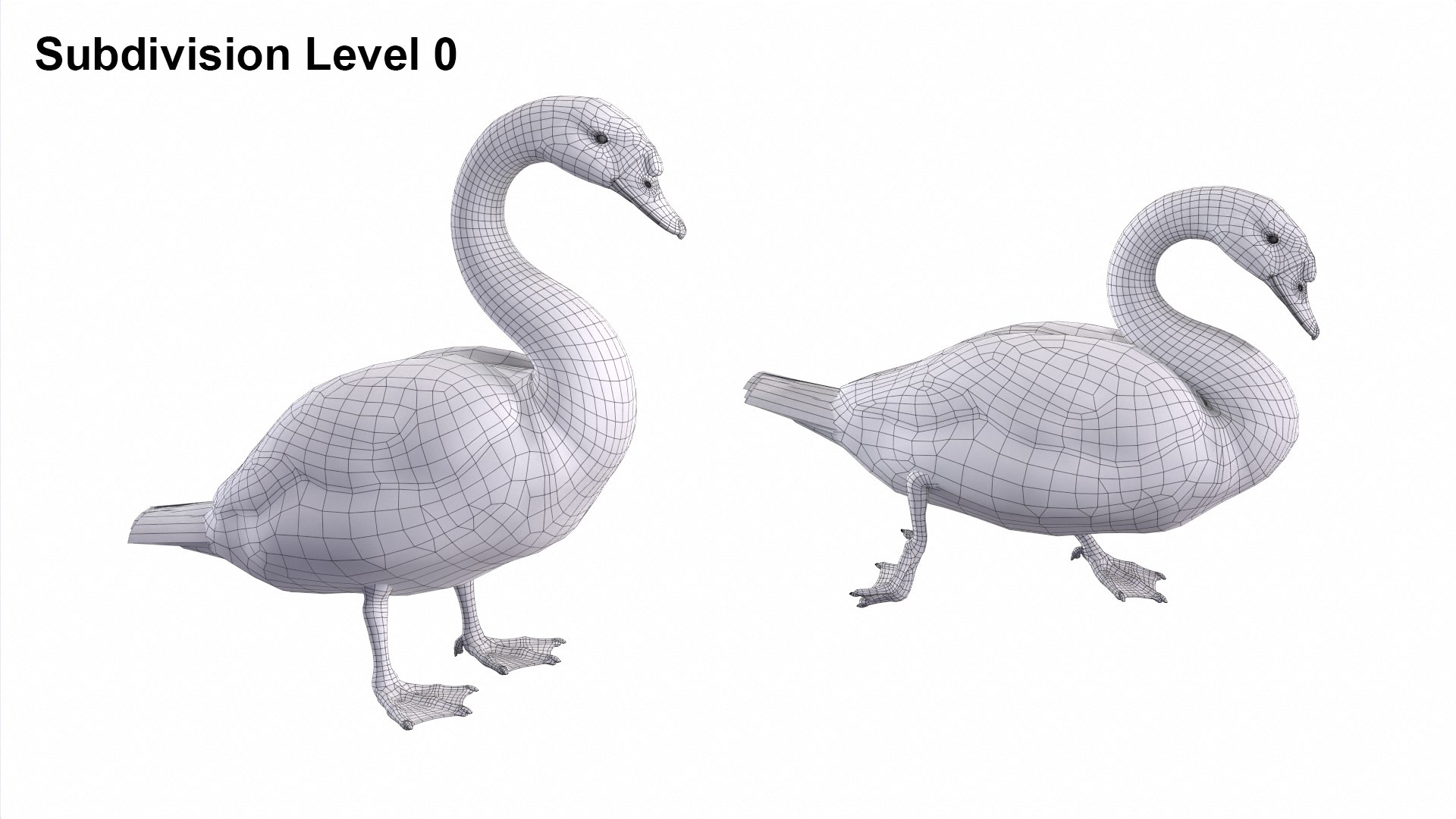 Waterfowl Collection 3D model https://p.turbosquid.com/ts-thumb/VJ/rhqt6W/TK/sub0/jpg/1640962442/1920x1080/fit_q87/14c42ad67e9e574a8e0ae1039443a3dd16093b18/sub0.jpg