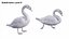 Collezione di uccelli acquatici