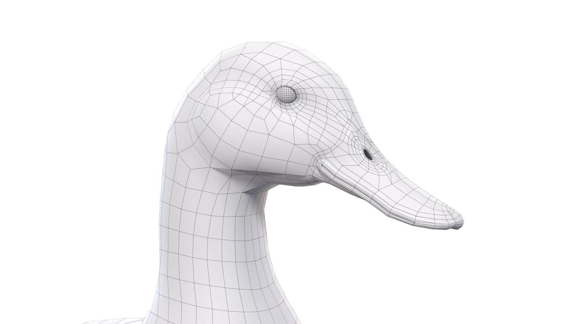 Waterfowl Collection 3D model https://p.turbosquid.com/ts-thumb/VJ/rhqt6W/Vg/ed31/jpg/1640962799/1920x1080/fit_q87/d4c0ed364da49c7c1a3e9414e5b7dcc888e1c207/ed31.jpg