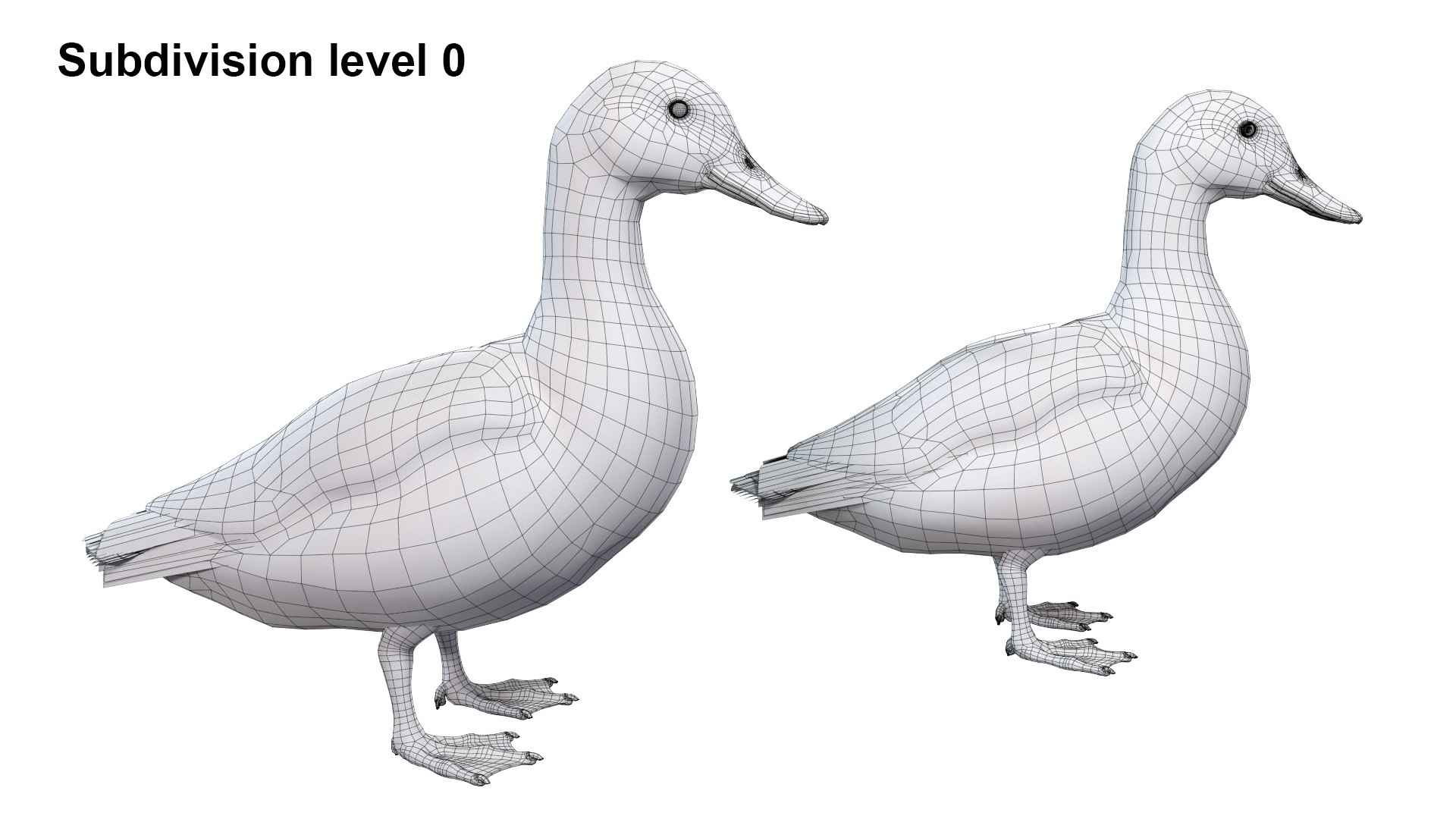 Waterfowl Collection 3D model https://p.turbosquid.com/ts-thumb/VJ/rhqt6W/Y4/sub01/jpg/1640962822/1920x1080/fit_q87/13e5c4b8180633ca8c45fd584bca22e152fb55ff/sub01.jpg