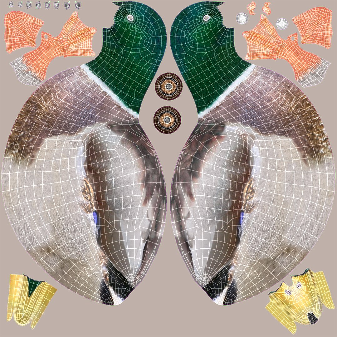 Waterfowl Collection 3D model https://p.turbosquid.com/ts-thumb/VJ/rhqt6W/aT/uv11/jpg/1640962839/1920x1080/fit_q87/0074389eb51cfab028e1da5d3feeed545b33bf5e/uv11.jpg