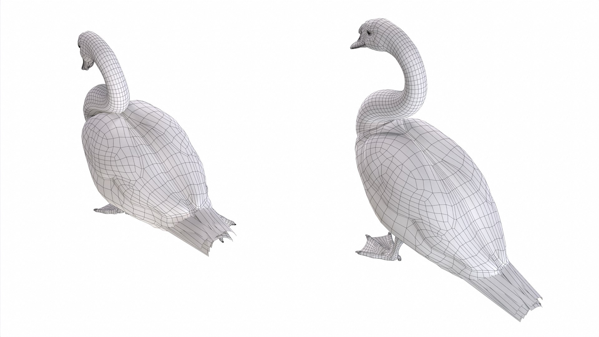 Waterfowl Collection 3D model https://p.turbosquid.com/ts-thumb/VJ/rhqt6W/lO/ed02/jpg/1640962443/1920x1080/fit_q87/ed603e3c395685888f5f4415d66d6dd21e6231ca/ed02.jpg