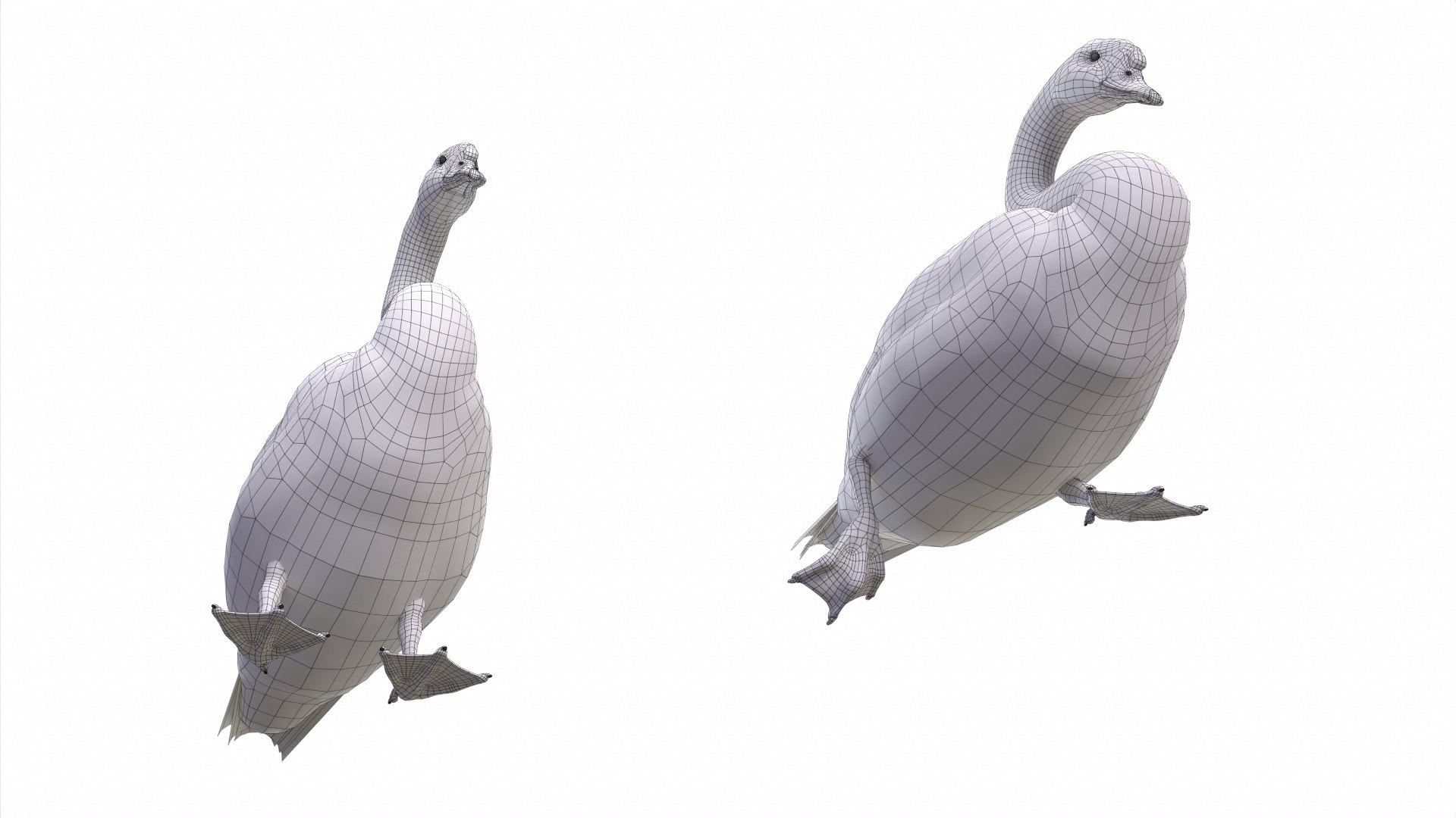 Waterfowl Collection 3D model https://p.turbosquid.com/ts-thumb/VJ/rhqt6W/n6/ed03/jpg/1640962440/1920x1080/fit_q87/f632f02dbde168f9bdafa1b56ba8c61027d9458f/ed03.jpg