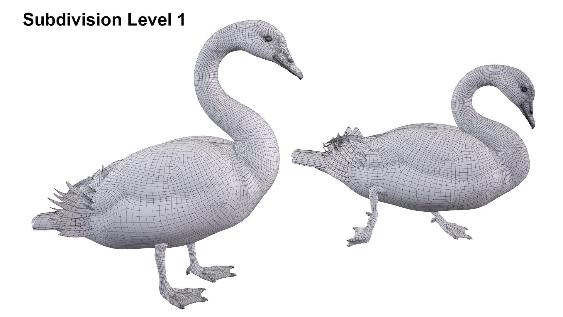 Waterfowl Collection 3D model https://p.turbosquid.com/ts-thumb/VJ/rhqt6W/nK/sub12/jpg/1640964078/1920x1080/fit_q87/60b850dffc61ab827c9ce4c7875b11392b020bc4/sub12.jpg