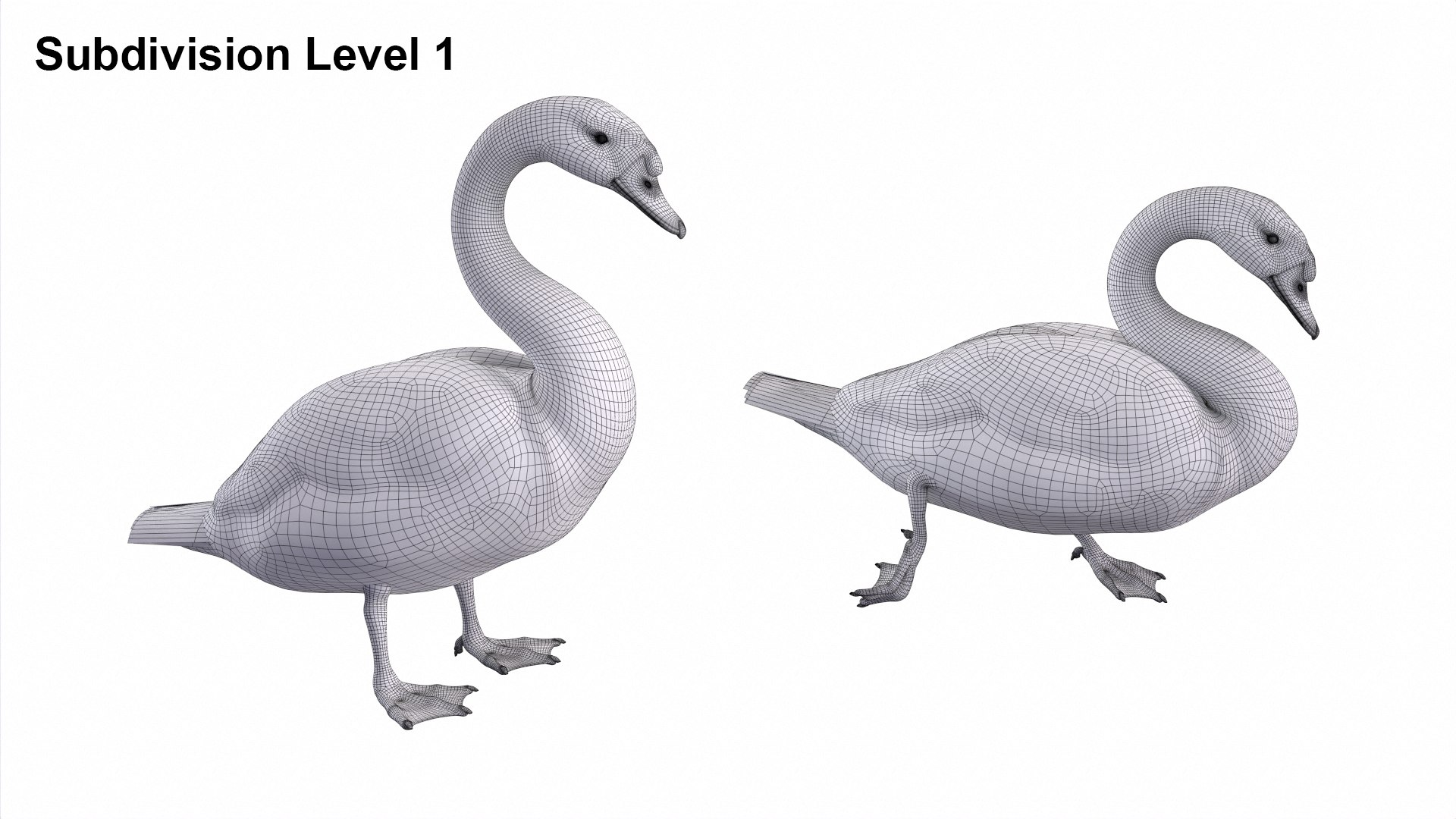 Waterfowl Collection 3D model https://p.turbosquid.com/ts-thumb/VJ/rhqt6W/oE/sub1/jpg/1640962443/1920x1080/fit_q87/62bbbe5927ab2d06da6a639e681452b990ad47a9/sub1.jpg