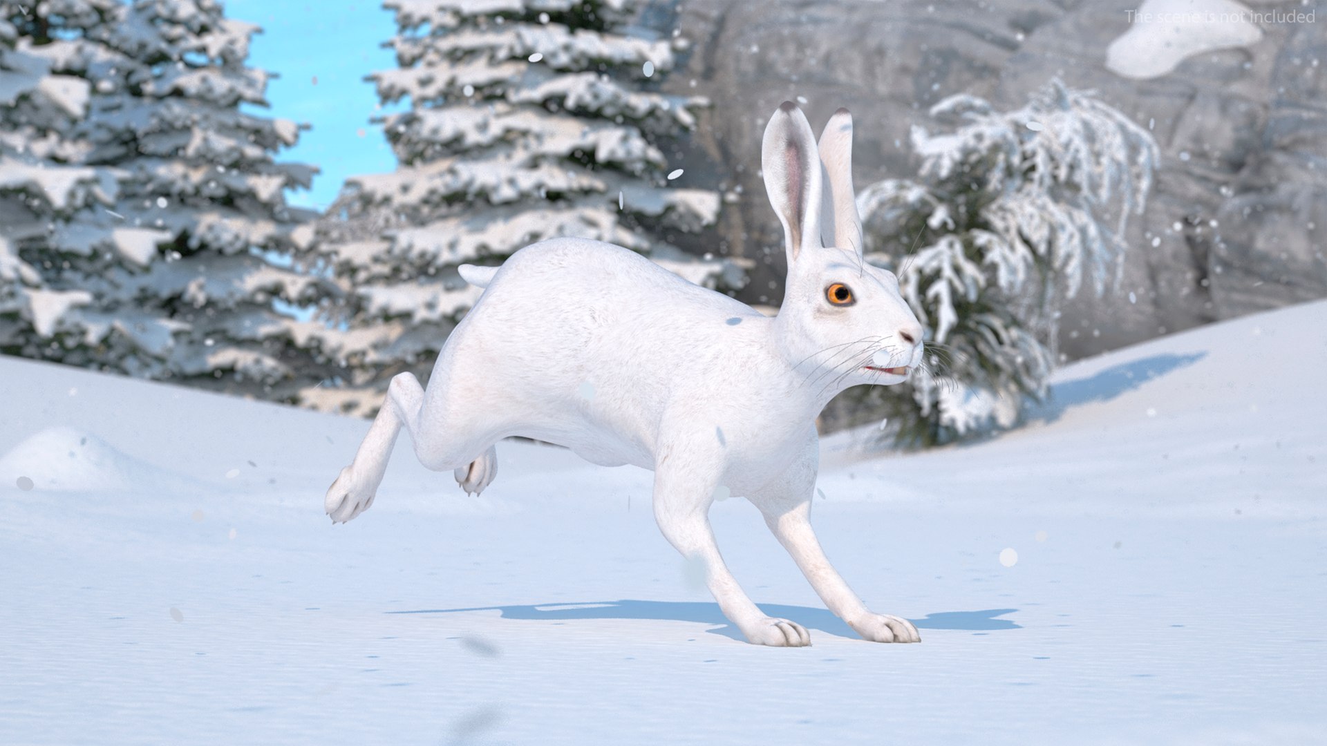 White Hare  Animated 3D https://p.turbosquid.com/ts-thumb/VJ/wCghqA/0o/whitehareanimatedc4dmodel005/jpg/1721620433/1920x1080/fit_q87/0f13b5b1acf947a567367cfcd221289ec856f3a6/whitehareanimatedc4dmodel005.jpg