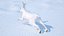 White Hare  Animated Rigged