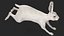 White Hare  Animated Rigged