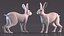 White Hare  Animated Rigged