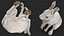 White Hare  Animated Rigged
