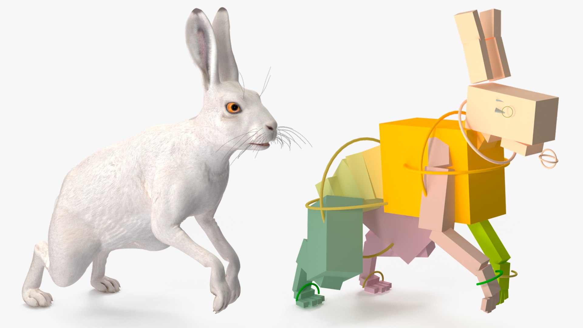 White Hare  Animated 3D https://p.turbosquid.com/ts-thumb/VJ/wCghqA/P4/whitehareanimatedc4dmodel002/jpg/1721620417/1920x1080/fit_q87/95ee4ea6f945fd2140115f48a9d7c826ddf6fff4/whitehareanimatedc4dmodel002.jpg